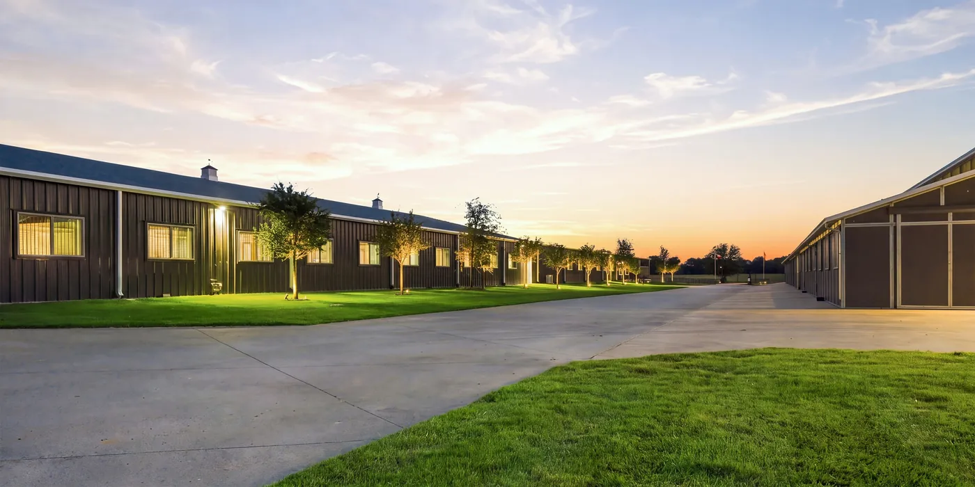 The barns at Franklin Farm at sunset, with young trees and lawn along a wide concrete drive.
