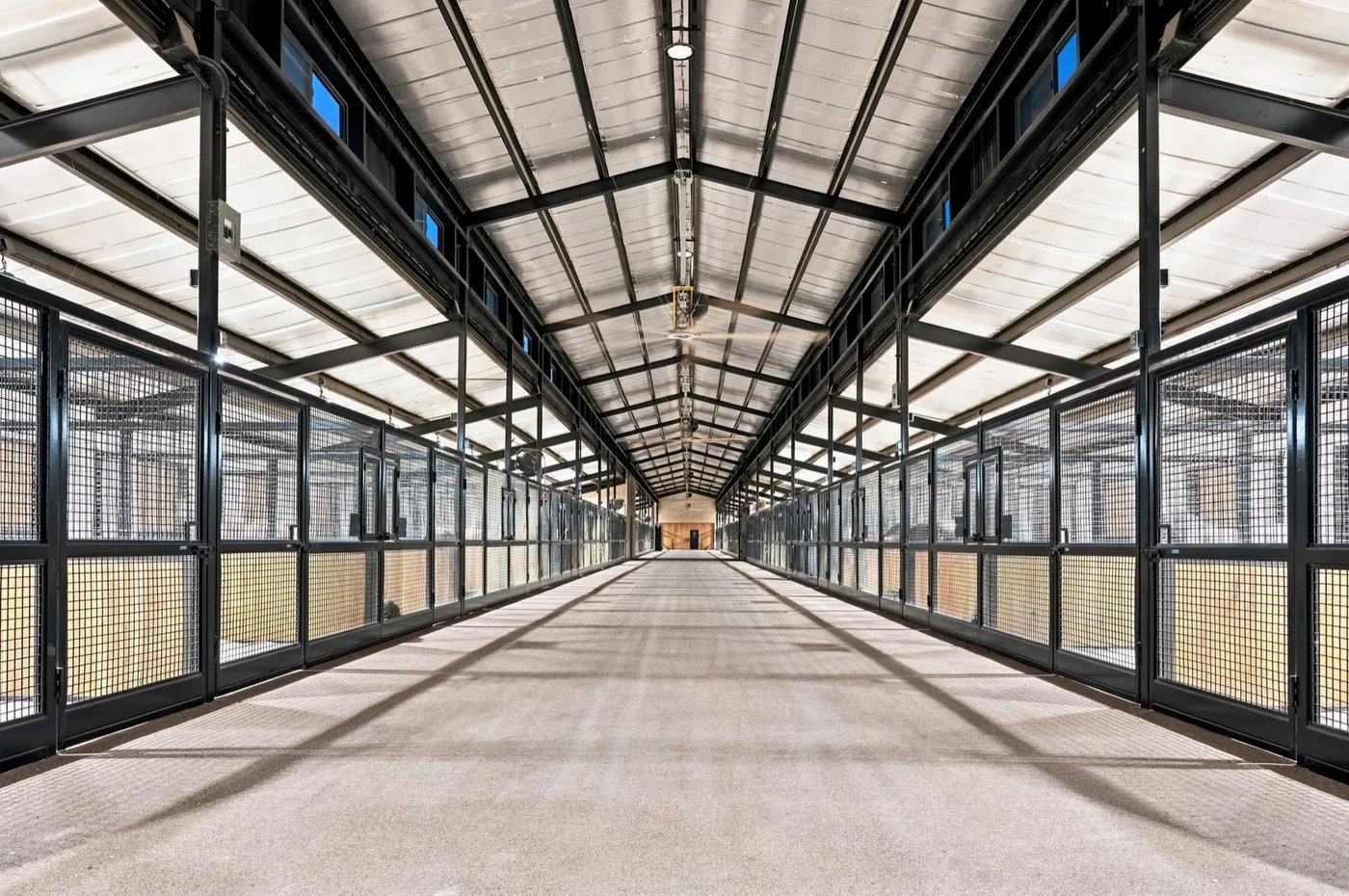 The center aisle of the mare barn at Franklin Farm, with mesh-fronted stalls on both sides.