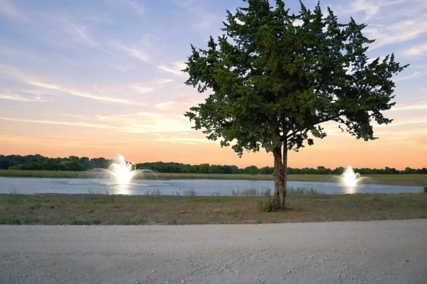 A pond at Franklin Farm at sunset, with two fountains playing and a large oak on the bank.